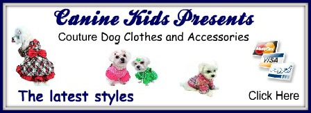 dog clothes and accessories