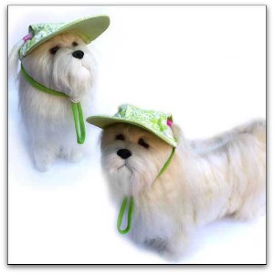 dog cool hats