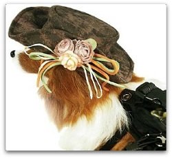 dog cowboy hats