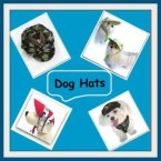 dog clothing hats
