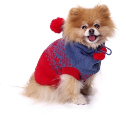 dog sweater knitting pattern, small, dog sweater pattern, large