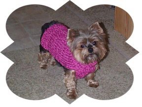 CHIHUAHUA SWEATER CROCHET PATTERN | Crochet Patterns