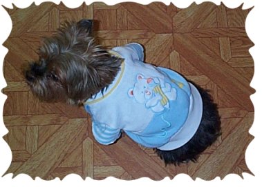 how to sew dog clothes 2
