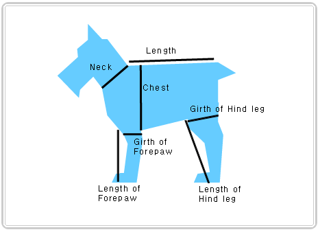 how-to-measure-a-dog-size-chart