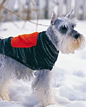 Large dog sweater pattern