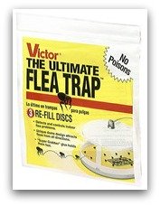 natural flea treatment