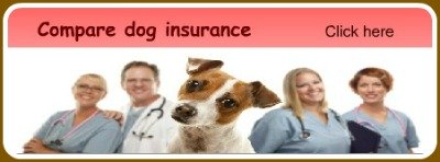 dog liability insurance